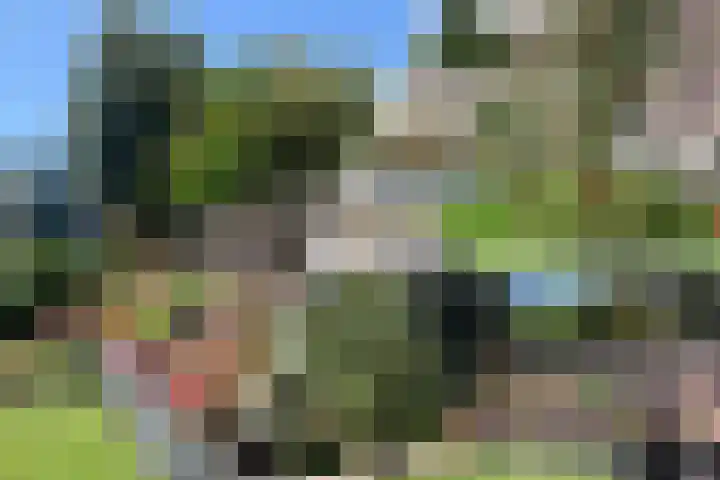 Duijves Weer 10 Assendelft thumbnail 23