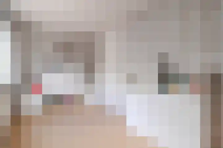 Duijves Weer 10 Assendelft thumbnail 28
