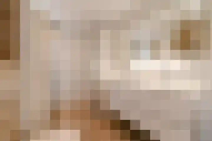 Duijves Weer 10 Assendelft thumbnail 29