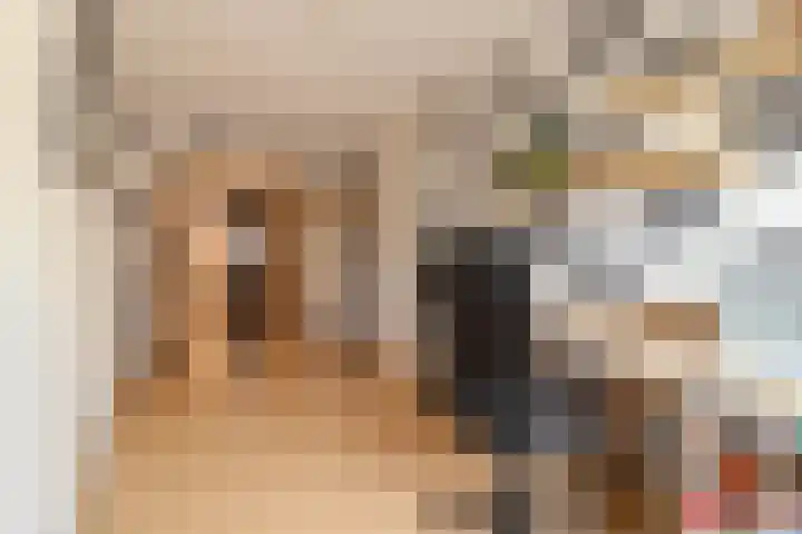 Duijves Weer 10 Assendelft thumbnail 33