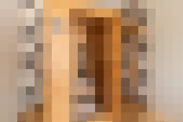 Duijves Weer 10 Assendelft thumbnail 34