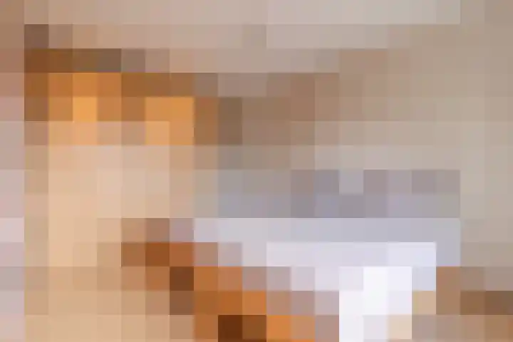 Duijves Weer 10 Assendelft thumbnail 36