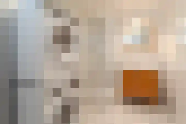 Duijves Weer 10 Assendelft thumbnail 37