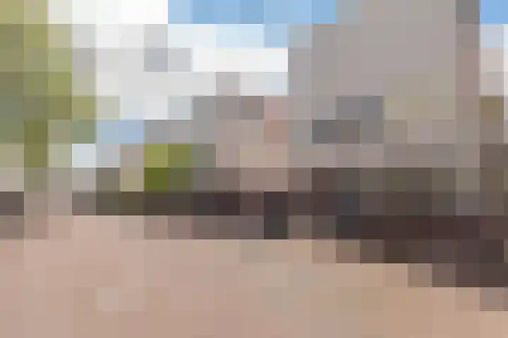 Duijves Weer 10 Assendelft thumbnail 4