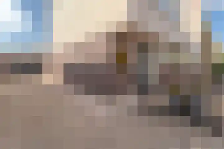 Duijves Weer 10 Assendelft thumbnail 5