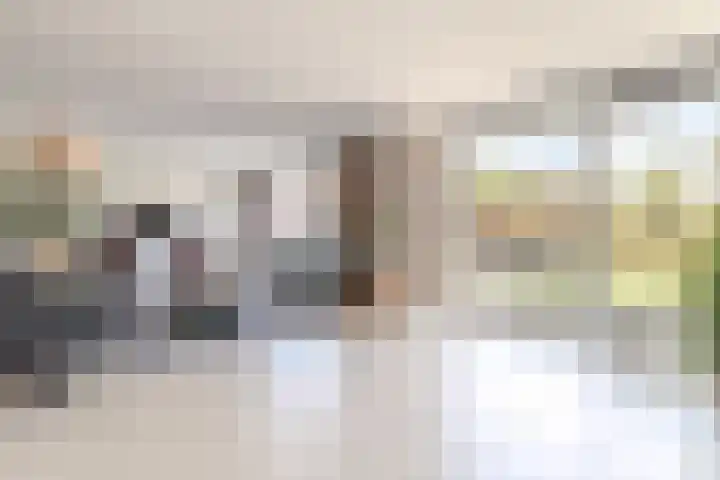 Duijves Weer 10 Assendelft thumbnail 9