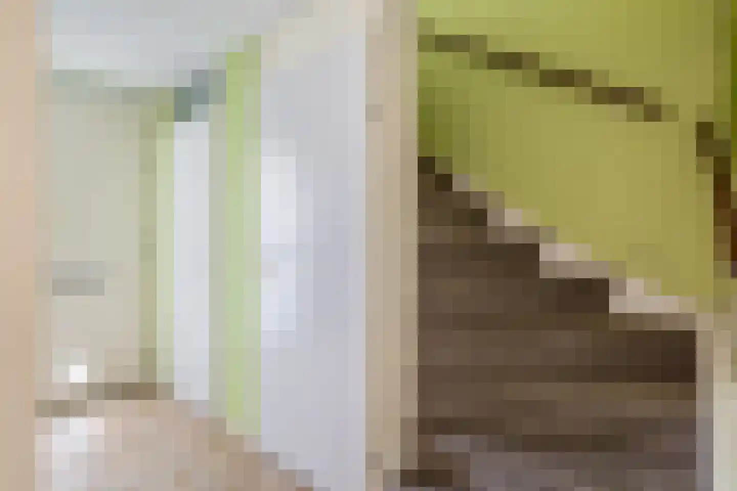 Duijves Weer 31 Assendelft thumbnail 11