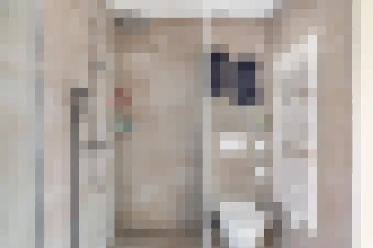 Duijves Weer 31 Assendelft thumbnail 27