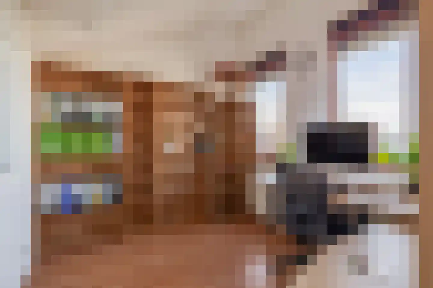 Duijves Weer 31 Assendelft thumbnail 32