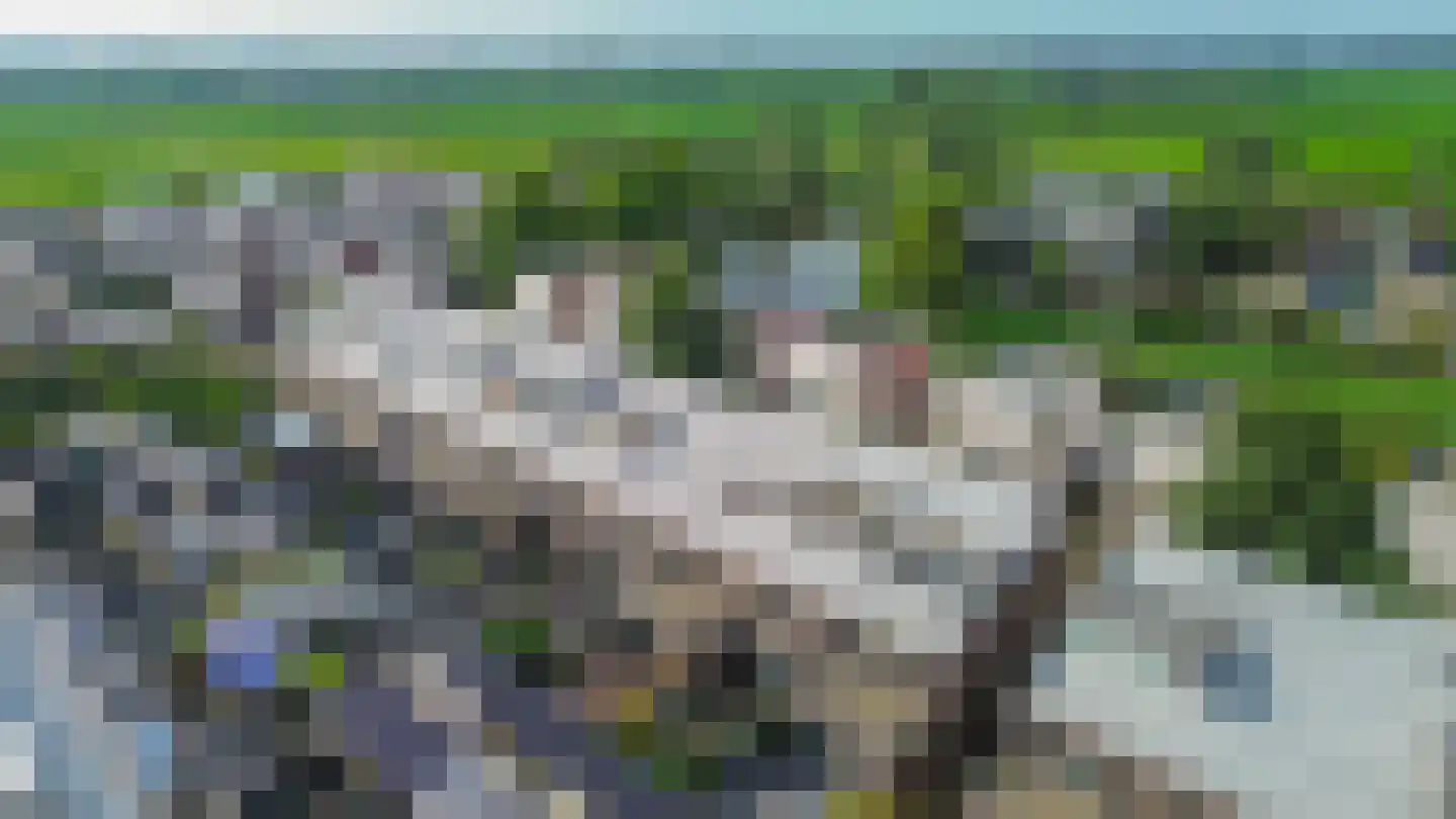 Duijves Weer 31 Assendelft thumbnail 41