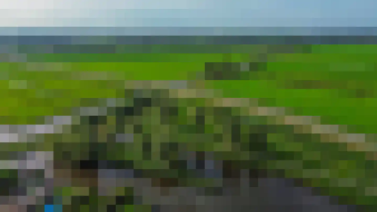Duijves Weer 31 Assendelft thumbnail 45