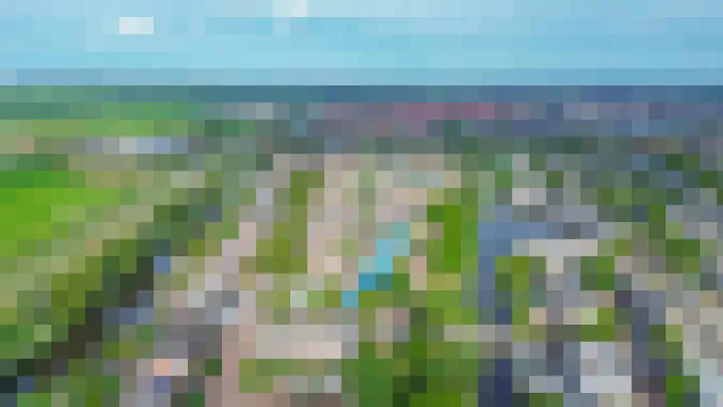Duijves Weer 31 Assendelft thumbnail 46