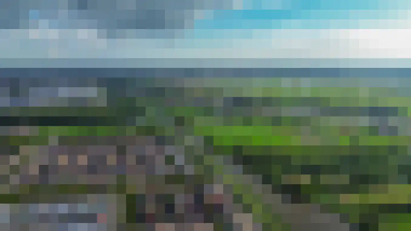 Duijves Weer 31 Assendelft thumbnail 47