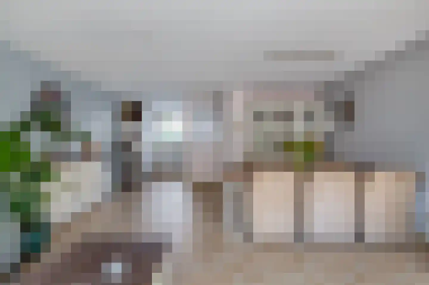Duijves Weer 31 Assendelft thumbnail 5