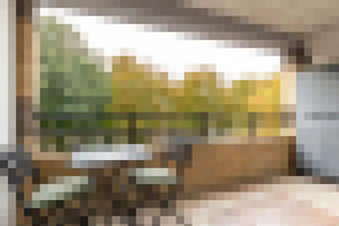 Duijvesteijnstraat 45 Wateringen thumbnail 18