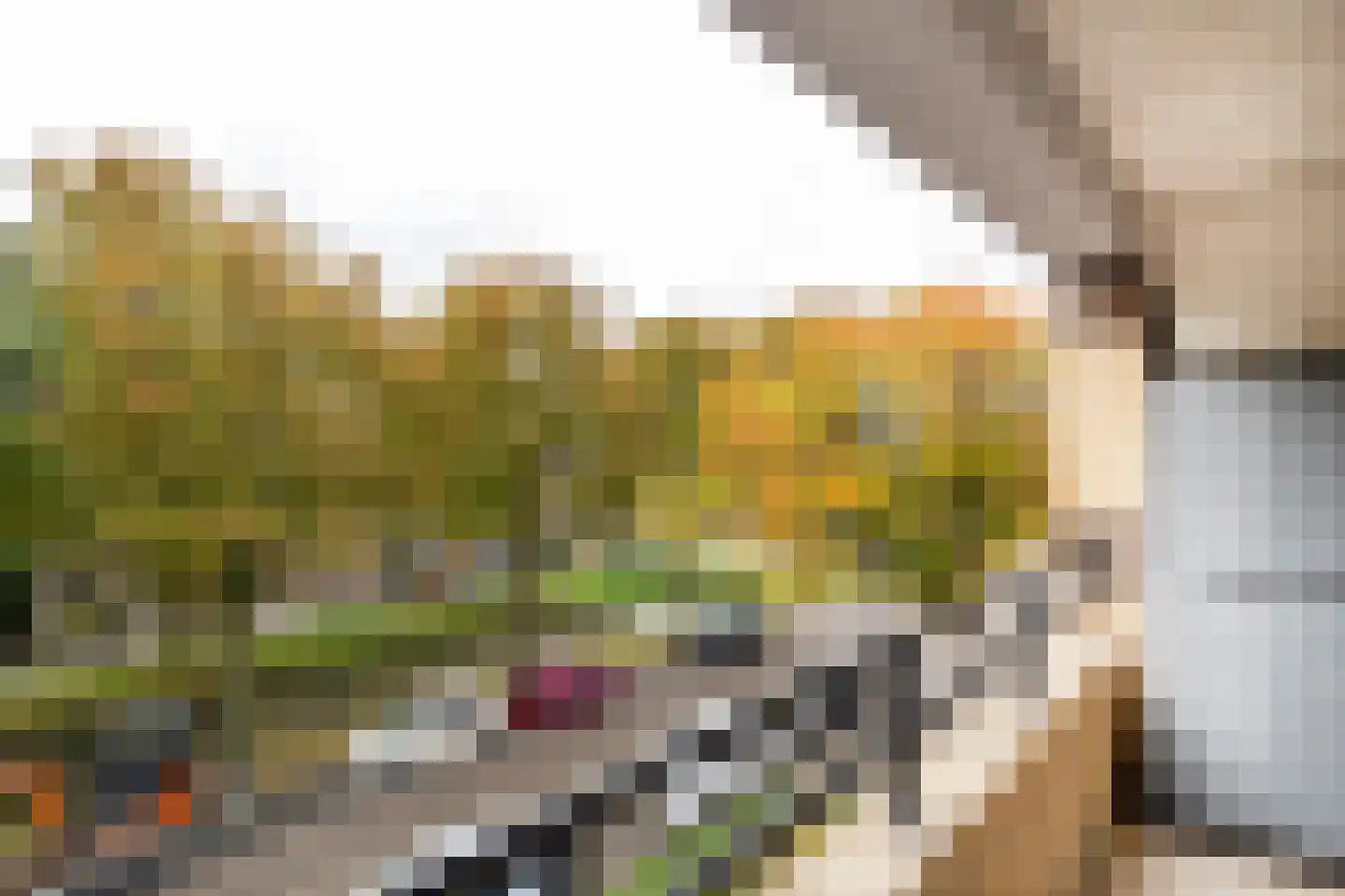 Duijvesteijnstraat 45 Wateringen thumbnail 19