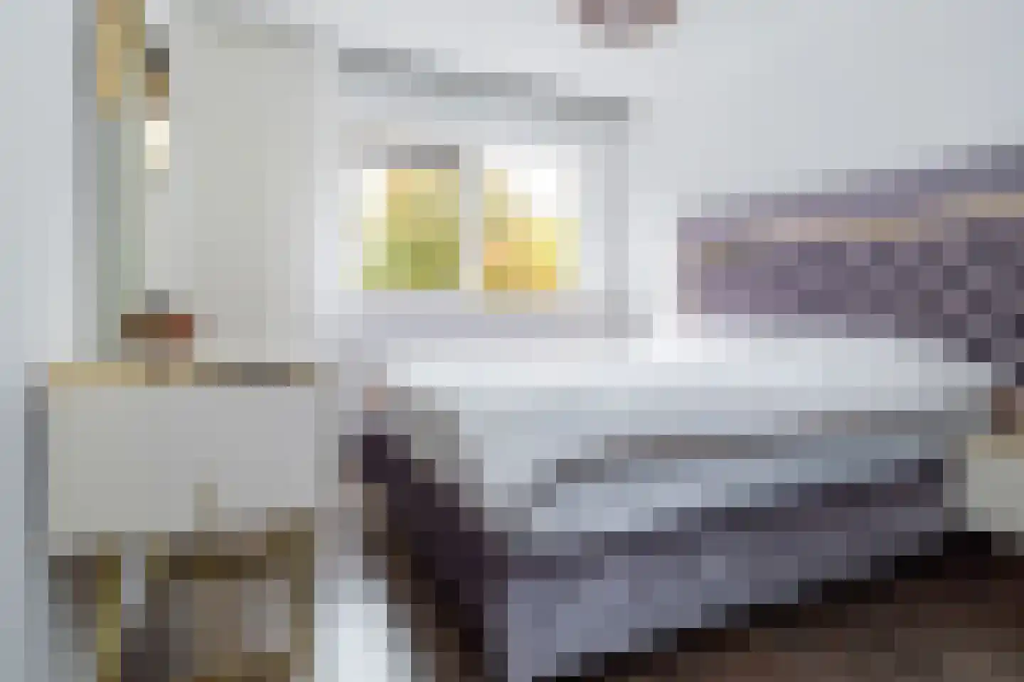Duijvesteijnstraat 45 Wateringen thumbnail 21