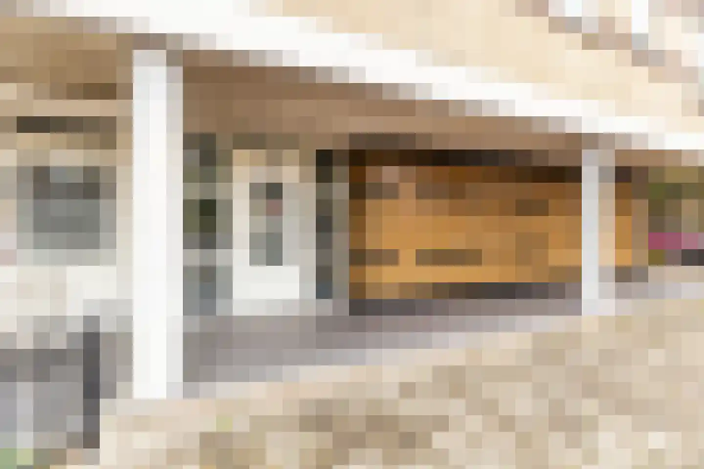 Duijvesteijnstraat 45 Wateringen thumbnail 32