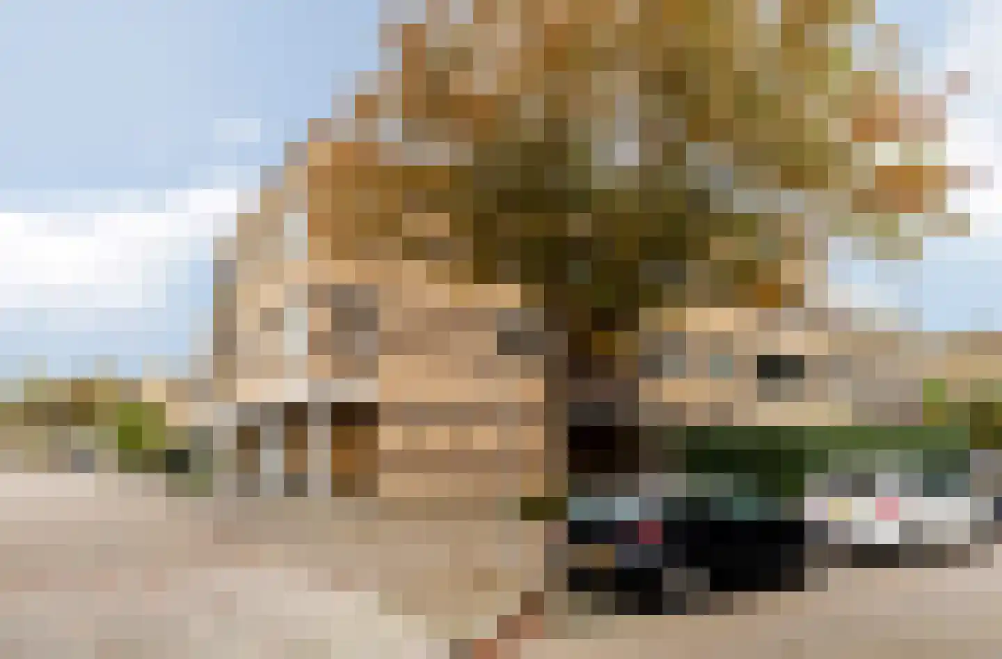 Duijvesteijnstraat 45 Wateringen thumbnail 33