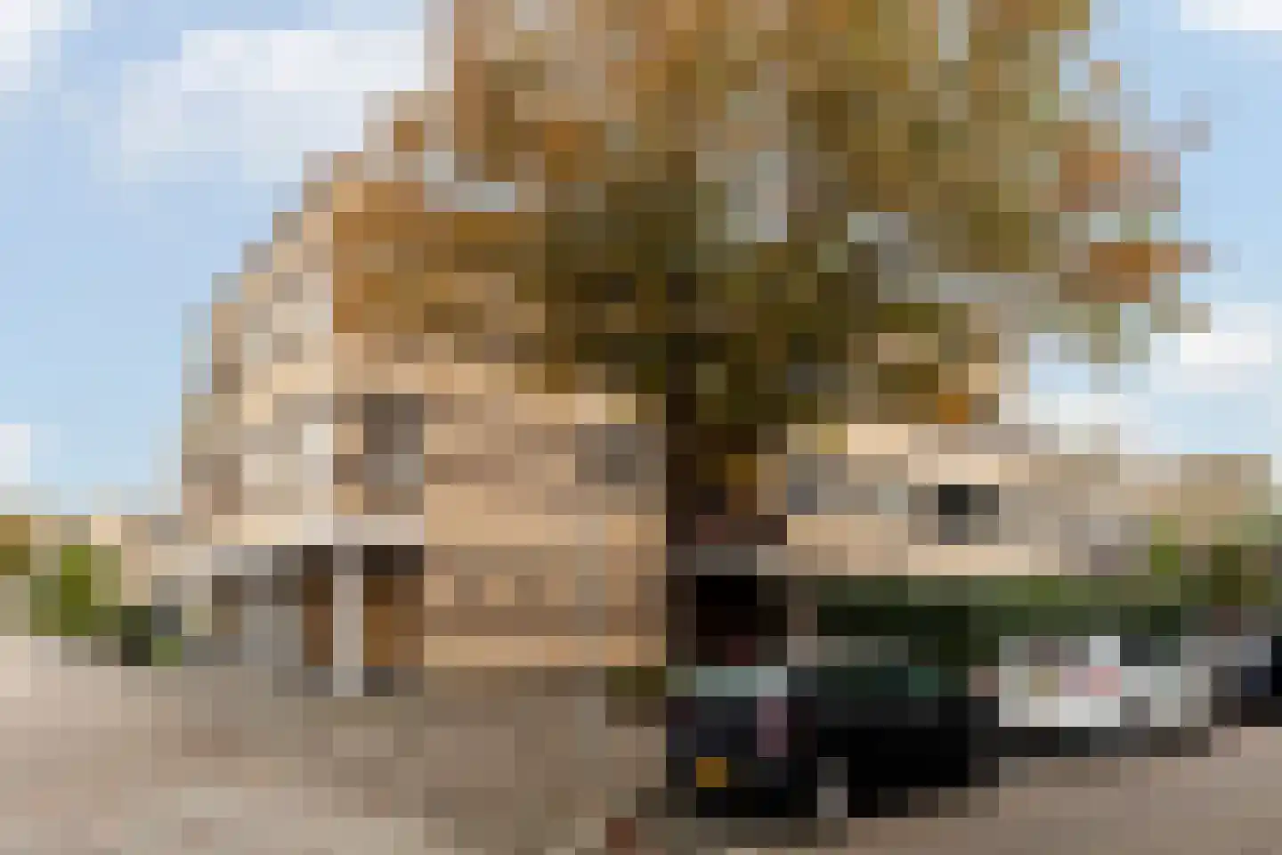 Duijvesteijnstraat 45 Wateringen thumbnail 35