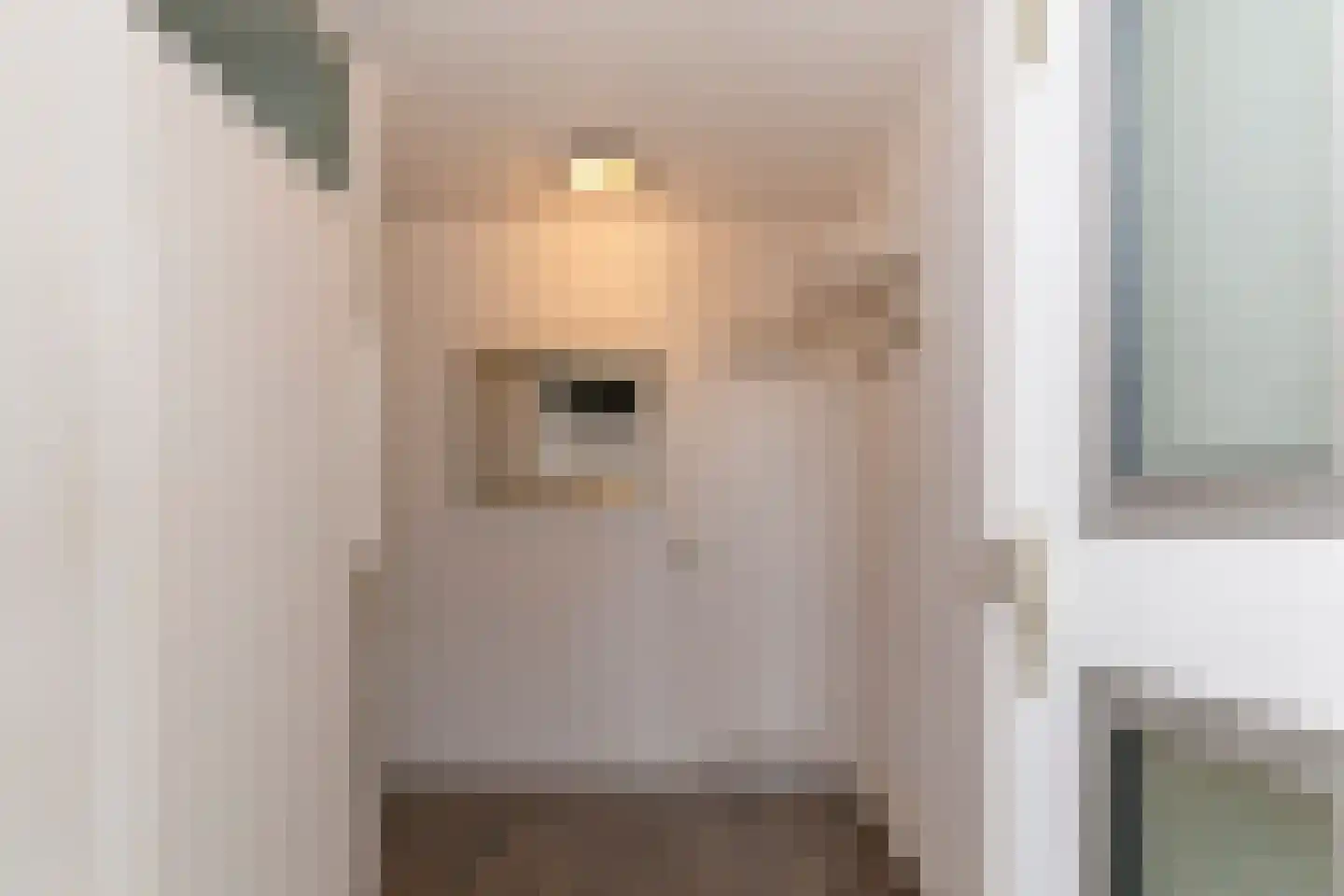 Duijvesteijnstraat 45 Wateringen thumbnail 5