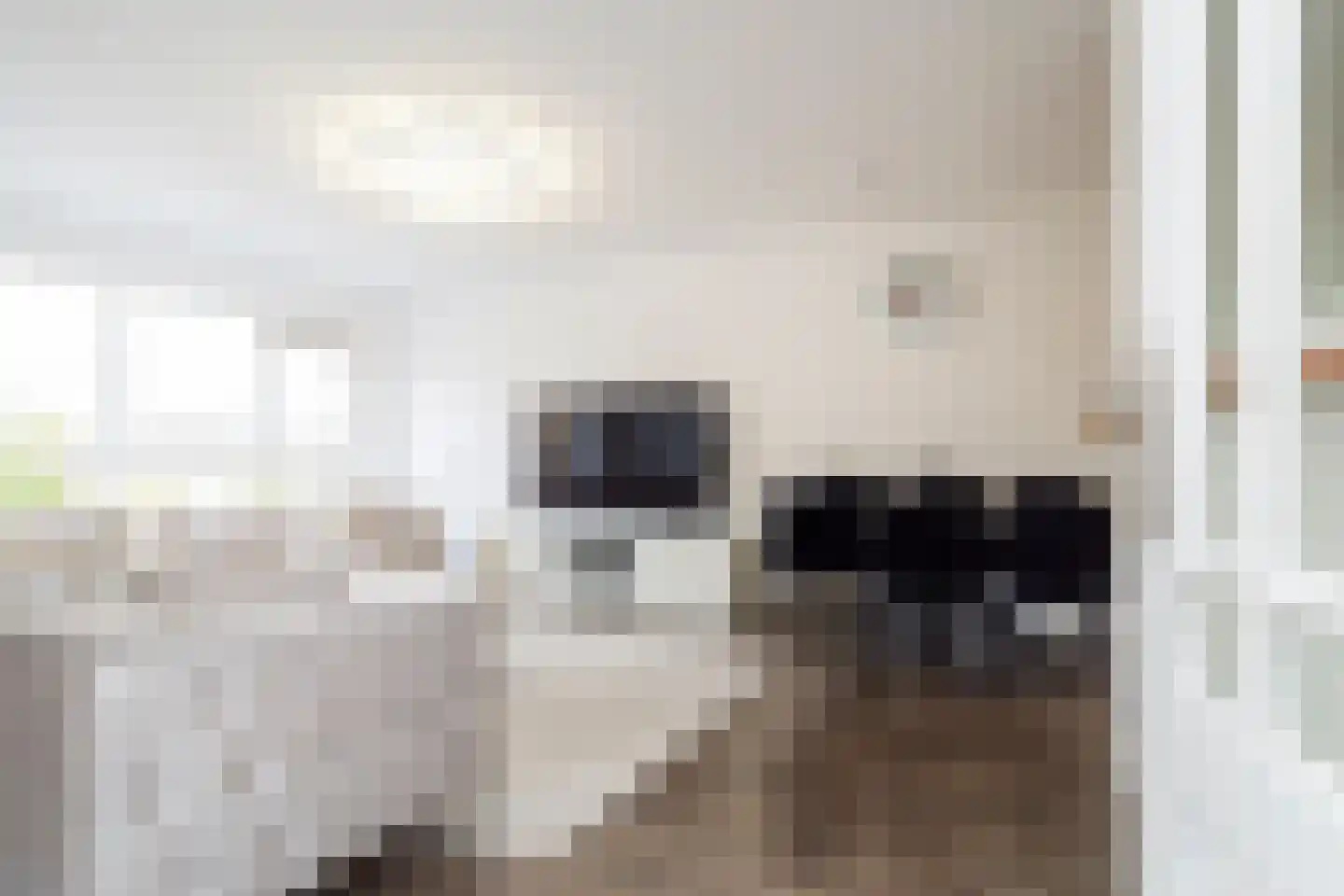 Duijvesteijnstraat 45 Wateringen thumbnail 7