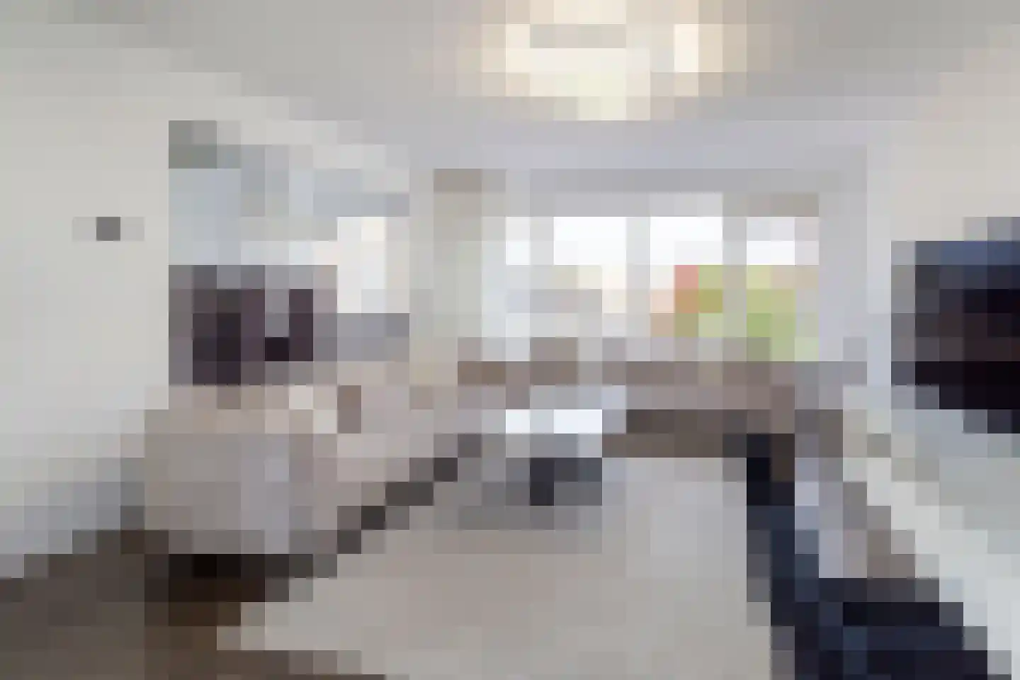 Duijvesteijnstraat 45 Wateringen thumbnail 8