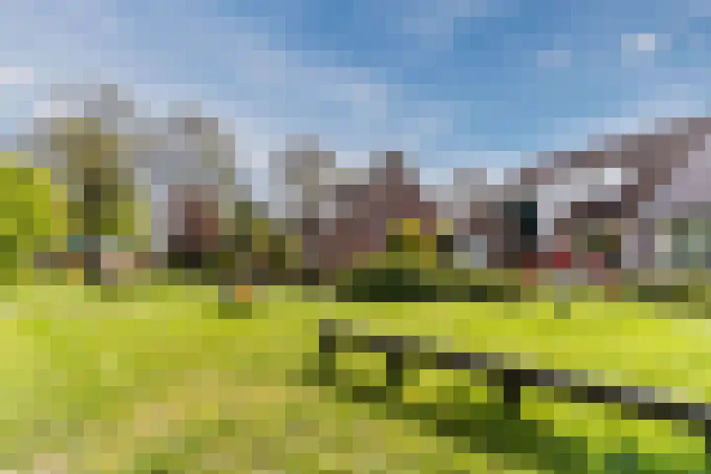 Duiker 104 Grootebroek thumbnail 35