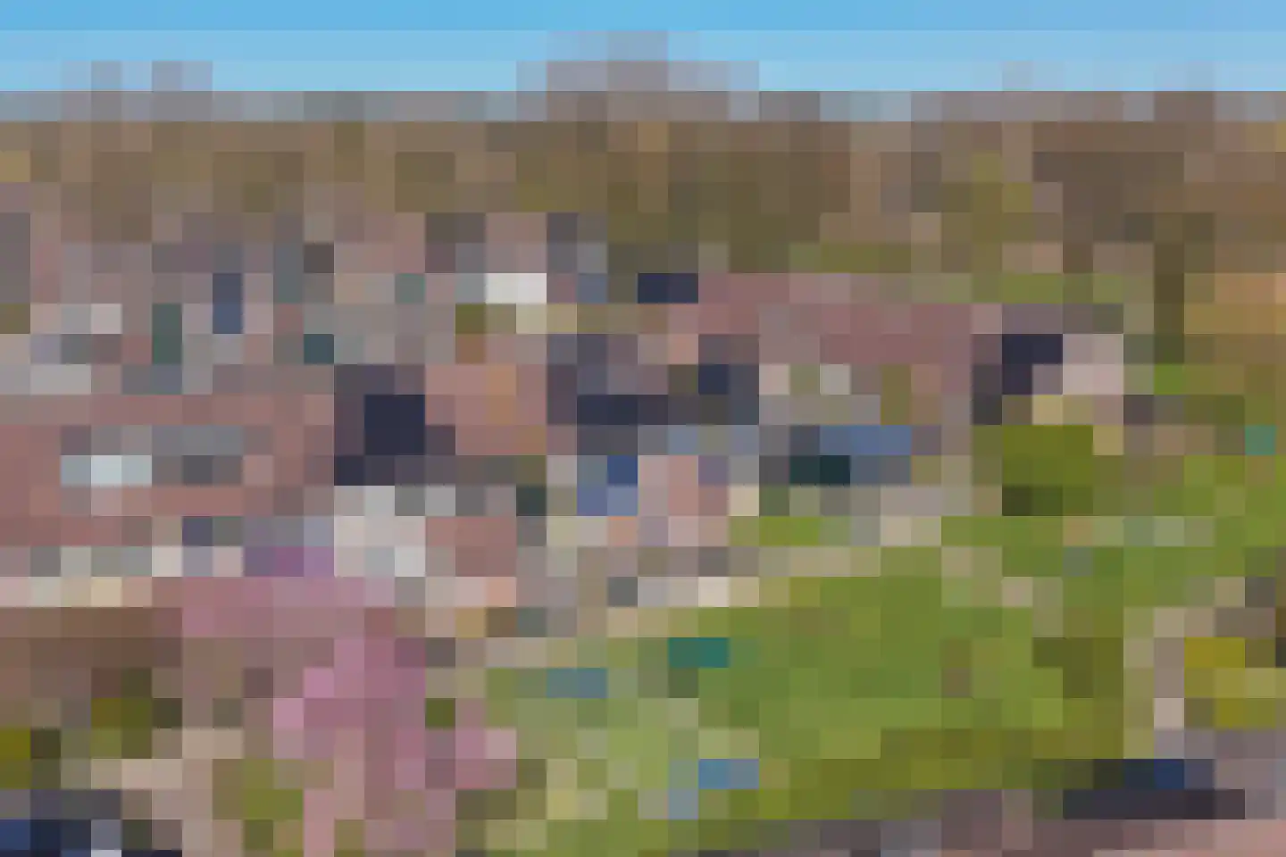 Duiker 106 Grootebroek thumbnail 12