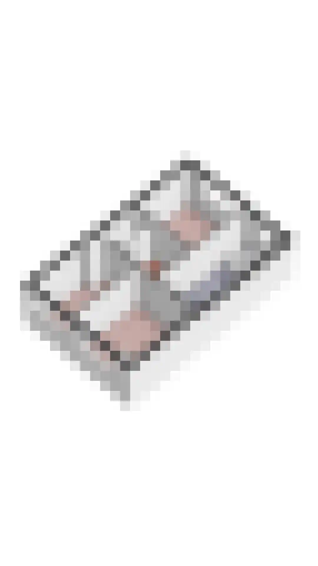 Duiker 106 Grootebroek thumbnail 60
