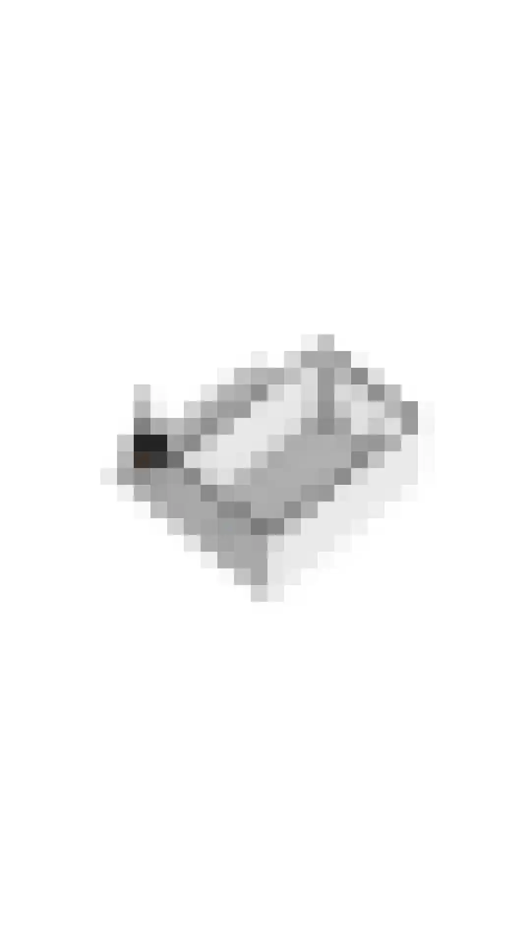 Duiker 106 Grootebroek thumbnail 64
