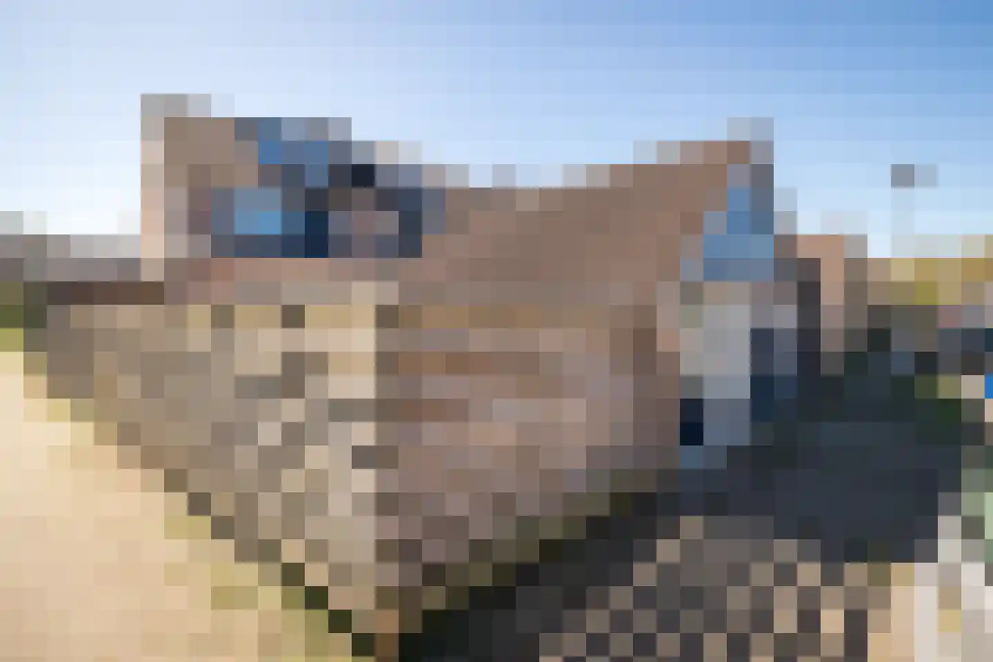 Duiker 108 Grootebroek thumbnail 36