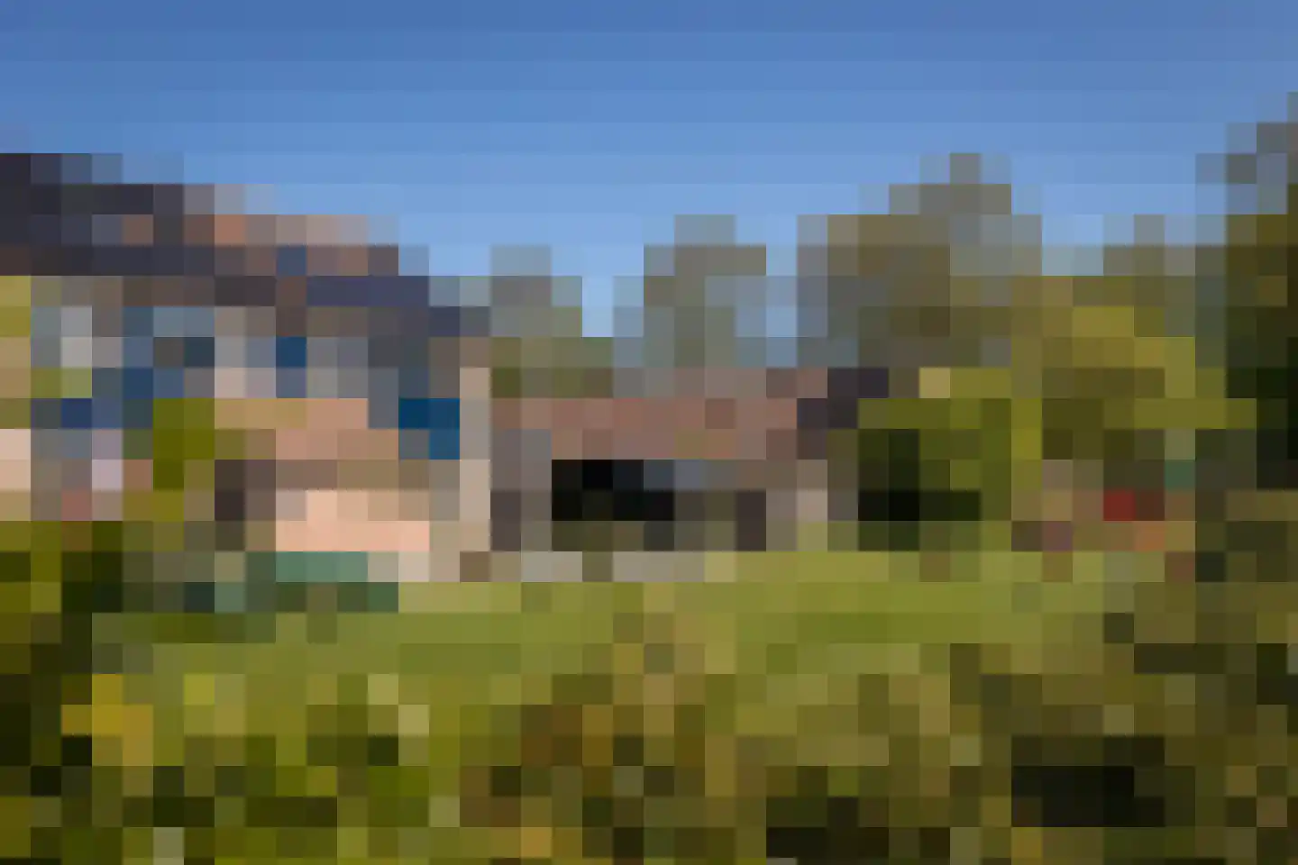 Duiker 108 Grootebroek thumbnail 41