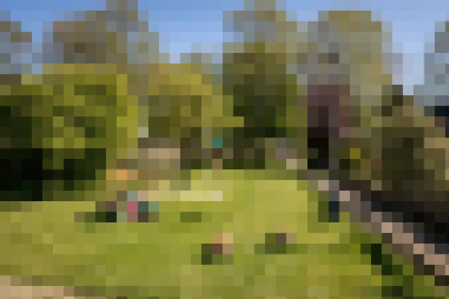 Duiker 108 Grootebroek thumbnail 43