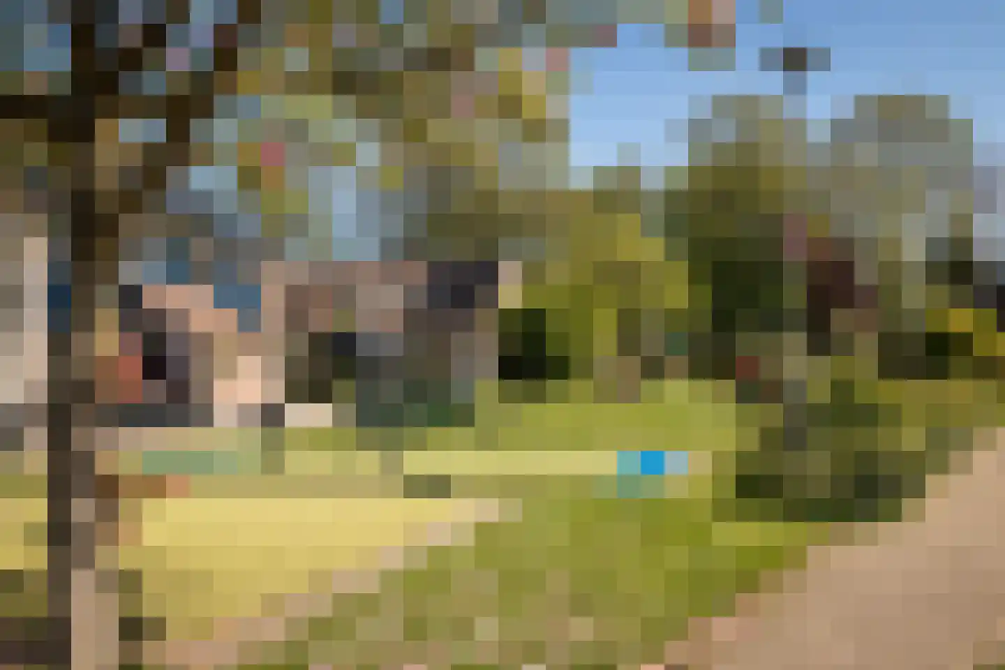 Duiker 108 Grootebroek thumbnail 44