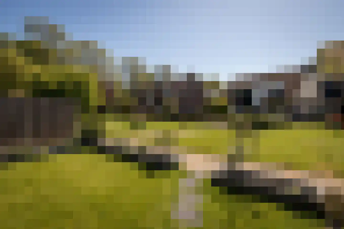 Duiker 108 Grootebroek thumbnail 7