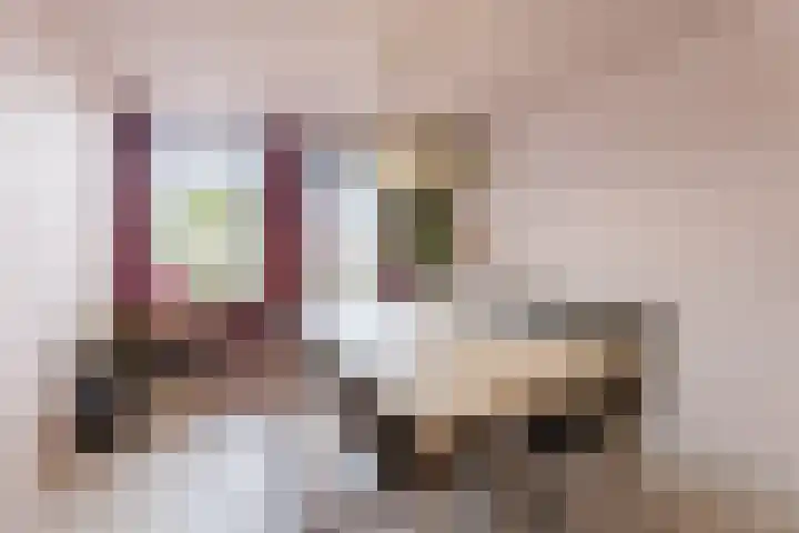 Duiker 11 Oss thumbnail 11