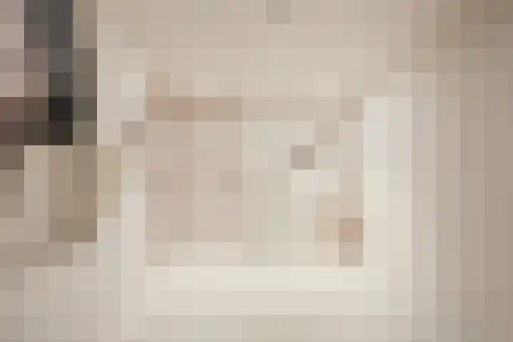 Duiker 11 Oss thumbnail 12