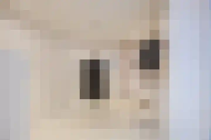 Duiker 11 Oss thumbnail 13