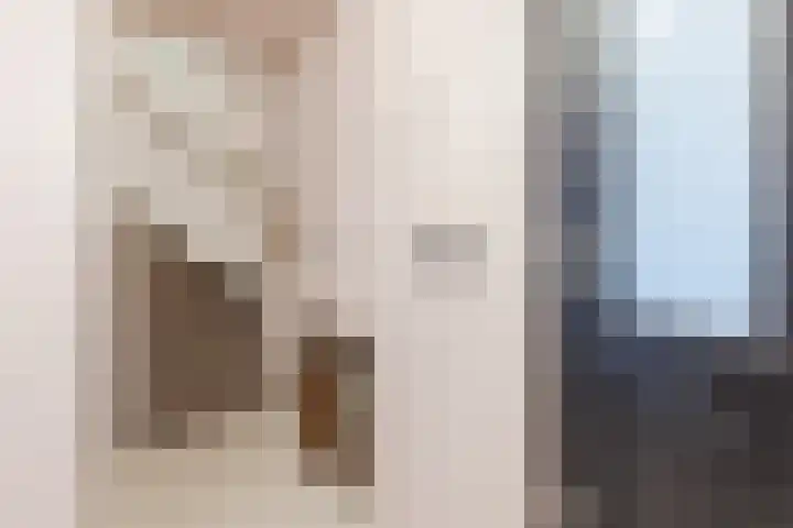 Duiker 11 Oss thumbnail 15