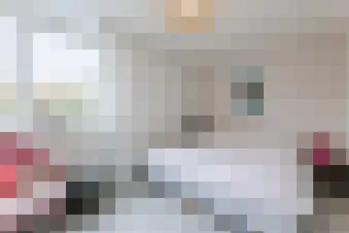 Duiker 11 Oss thumbnail 17