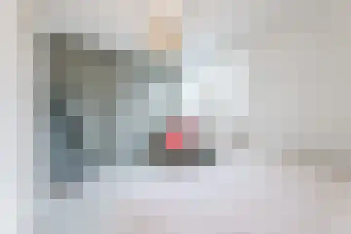 Duiker 11 Oss thumbnail 18