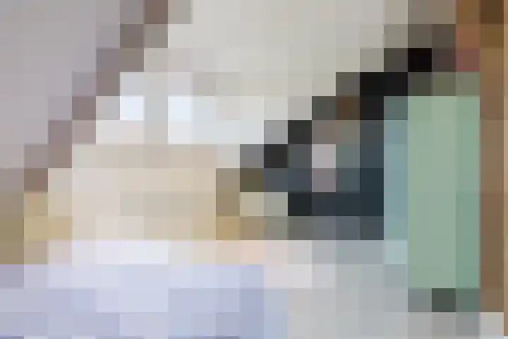 Duiker 11 Oss thumbnail 22