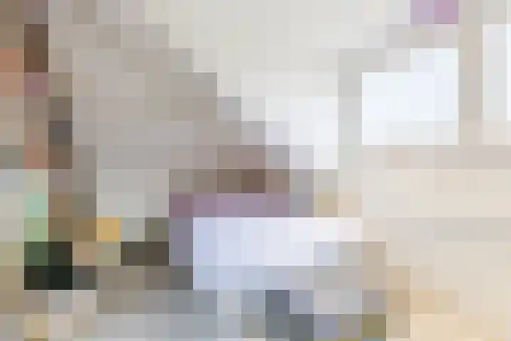 Duiker 11 Oss thumbnail 23