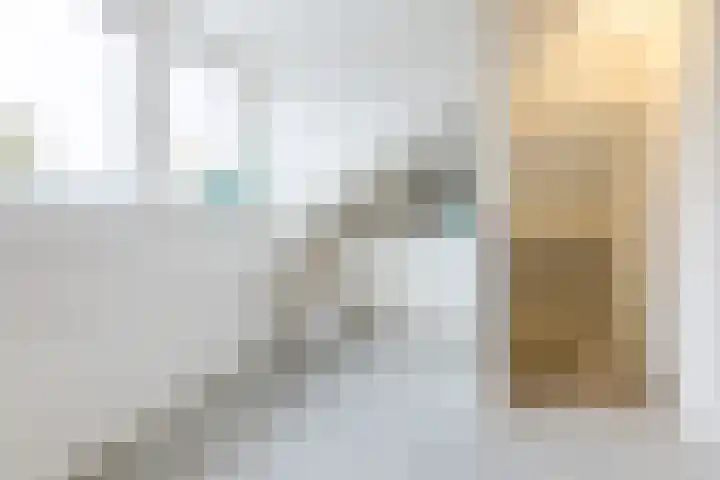 Duiker 11 Oss thumbnail 24