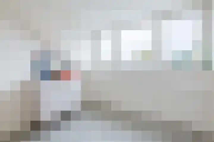 Duiker 11 Oss thumbnail 25