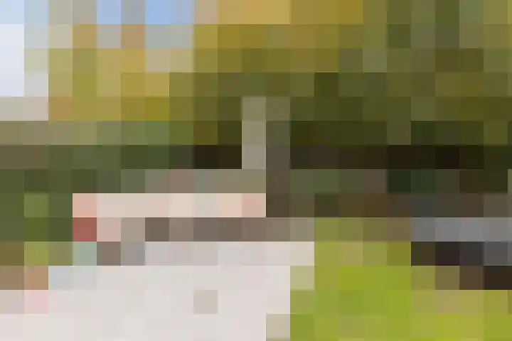 Duiker 11 Oss thumbnail 28