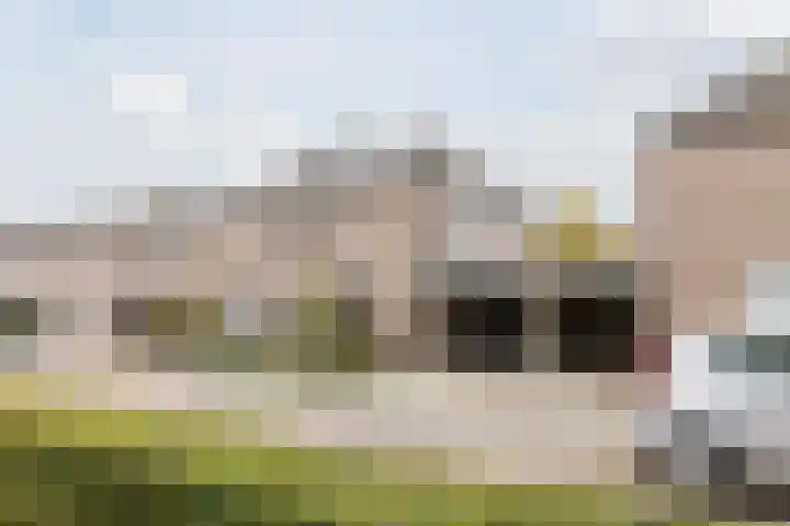 Duiker 11 Oss thumbnail 29