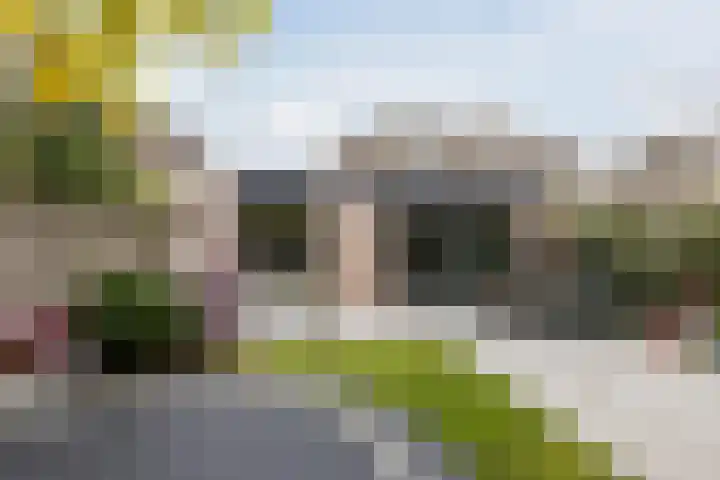 Duiker 11 Oss thumbnail 30