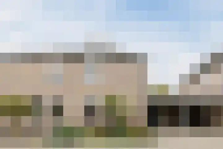 Duiker 11 Oss thumbnail 31